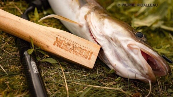 Ikejime Wire Sinkeijime Gauge 20, for Small Fish, Destroys The Spinal Cord, Paralyse Fish Nerves, Circuit Breaker - Image 2